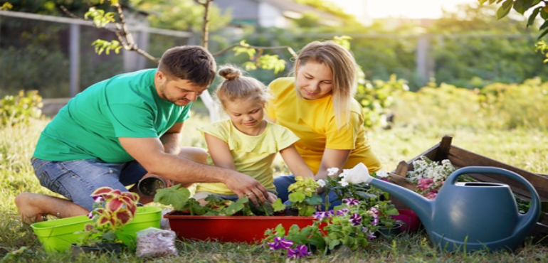  Tips For Teaching Kids How To Plant In Gardens