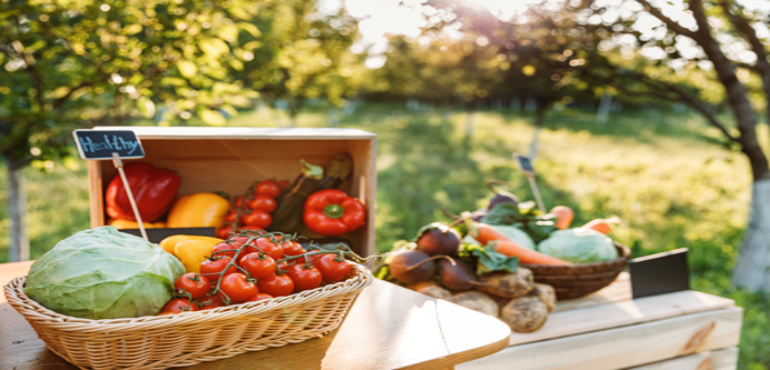  Farmers' Market Finds: Creating Meals with Seasonal Produce