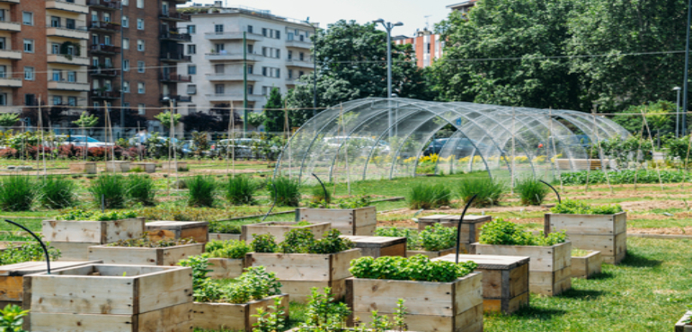  Gardening and Urban Farming: 8 Must-Have Tools for Growing Fresh Produce at Home